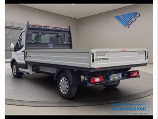 FORD Transit 350 2.0 EcoBlue Trend - Cassonato - MHEV