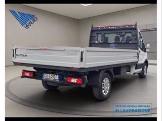 FORD Transit 350 2.0 EcoBlue Trend - Cassonato - MHEV